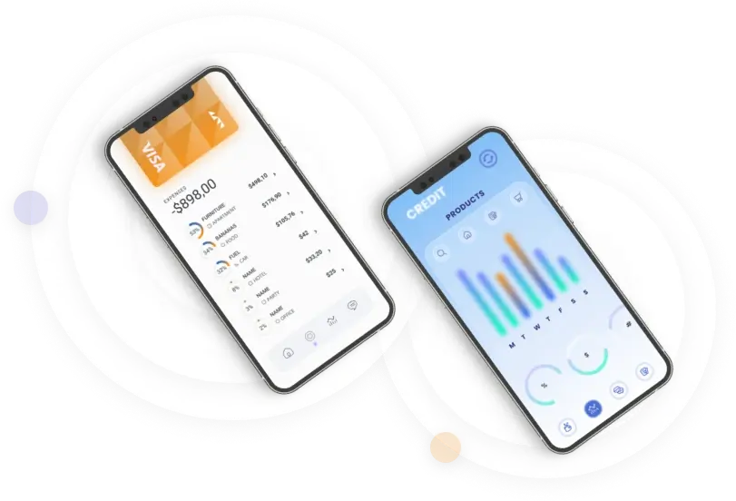 Quantum V Grip - WHAT ARE CAPITAL MARKETS?